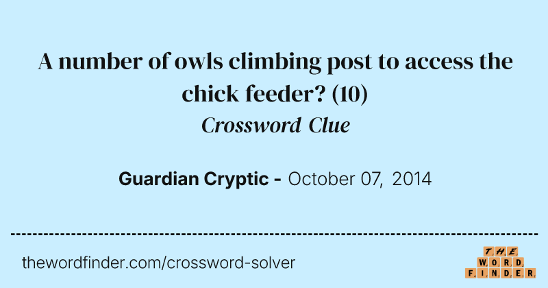 A number of owls climbing post to access the chick feeder? crossword clue image