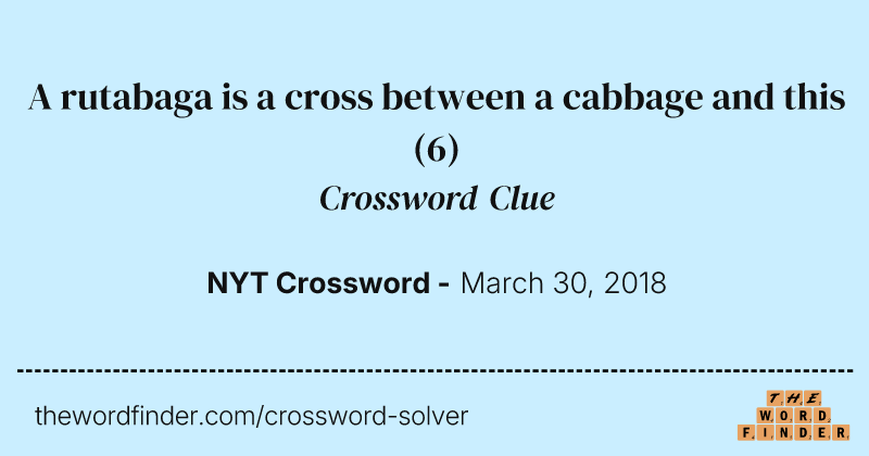 A rutabaga is a cross between a cabbage and this crossword clue image