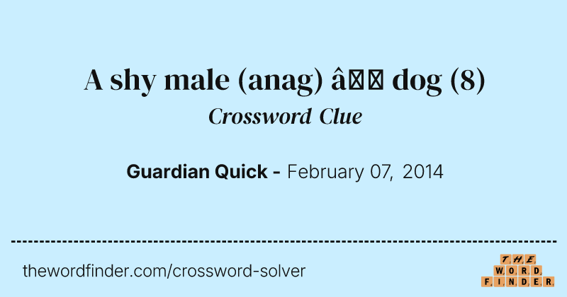 A shy male (anag) — dog crossword clue image