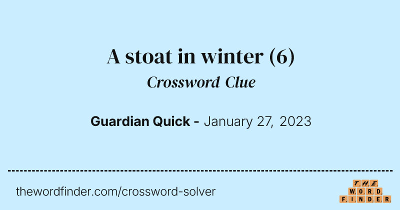 A stoat in winter crossword clue image