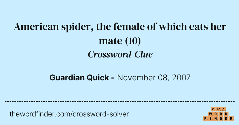 American spider, the female of which eats her mate crossword clue image