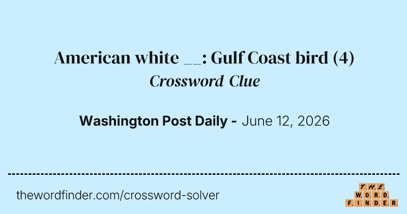 American white __: Gulf Coast bird crossword clue image