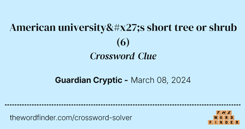 American university's short tree or shrub crossword clue image