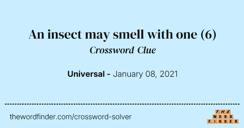 An insect may smell with one crossword clue image