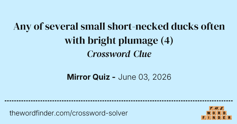 Any of several small short-necked ducks often with bright plumage crossword clue image