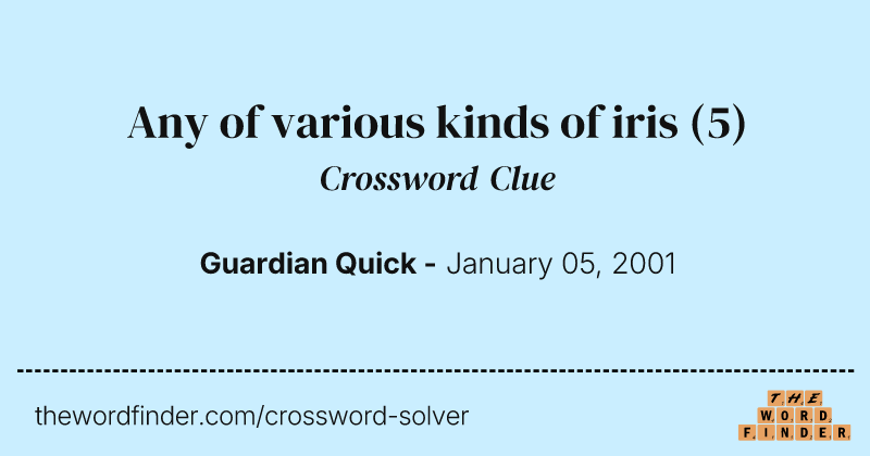 Any of various kinds of iris crossword clue image