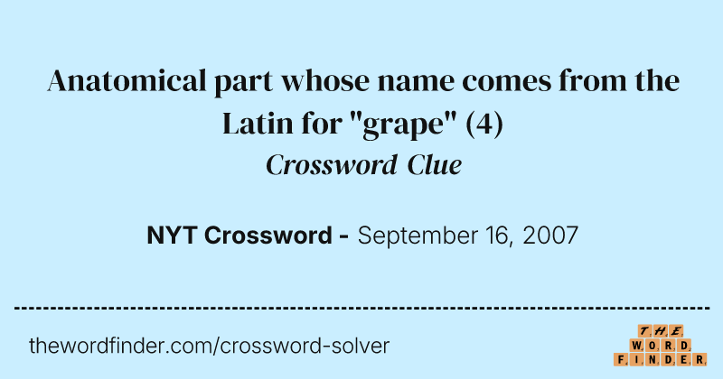 Anatomical part whose name comes from the Latin for "grape" crossword clue image