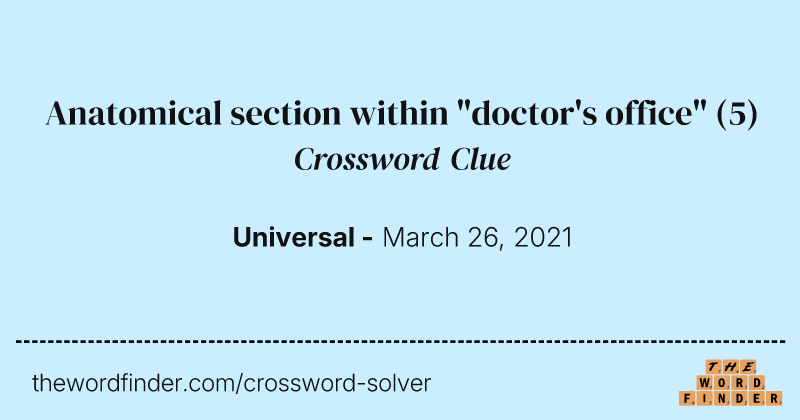 Anatomical section within "doctor's office" crossword clue image