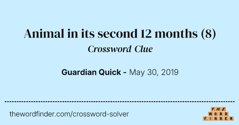 Animal in its second 12 months crossword clue image