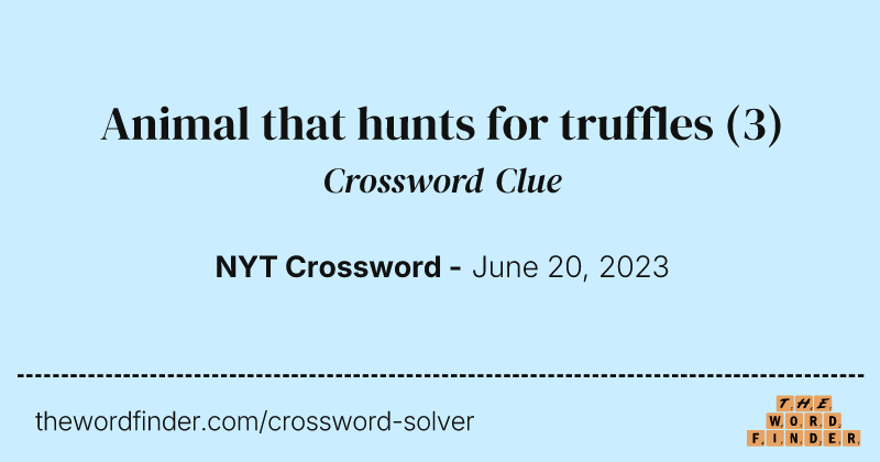 Animal that hunts for truffles crossword clue image