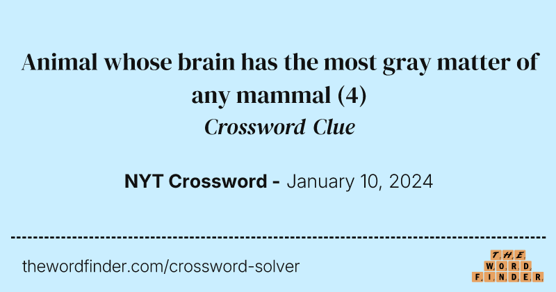 Animal whose brain has the most gray matter of any mammal crossword clue image