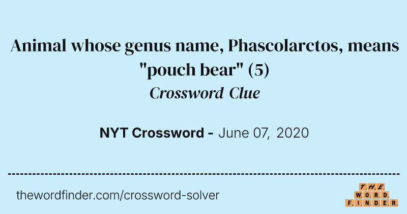 Animal whose genus name, Phascolarctos, means "pouch bear" crossword clue image
