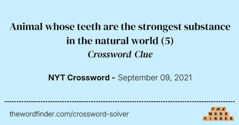 Animal whose teeth are the strongest substance in the natural world crossword clue image