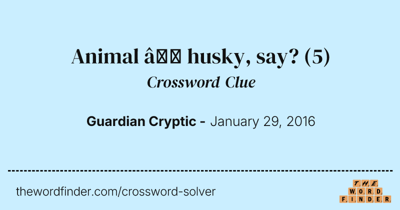 Animal — husky, say? crossword clue image