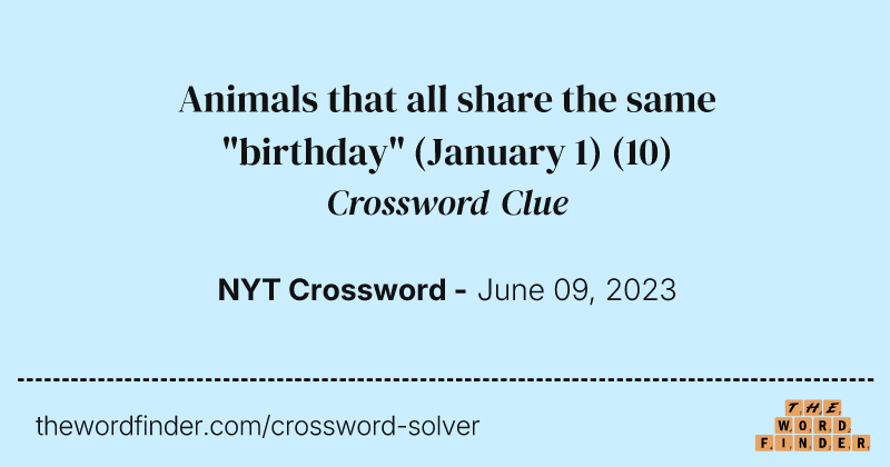 Animals that all share the same "birthday" (January 1) crossword clue image