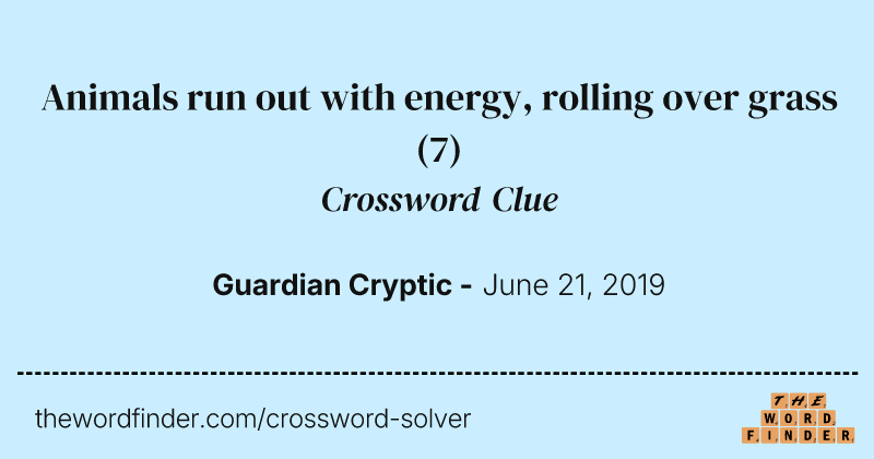 Animals run out with energy, rolling over grass crossword clue image