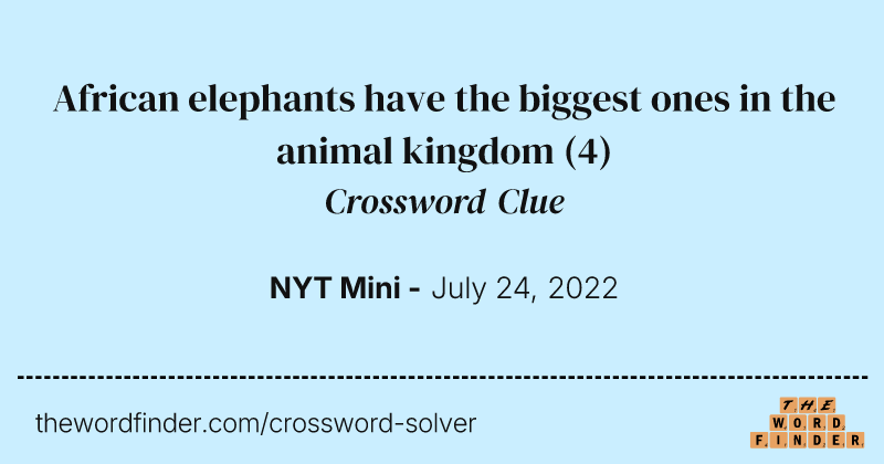 African elephants have the biggest ones in the animal kingdom crossword clue image