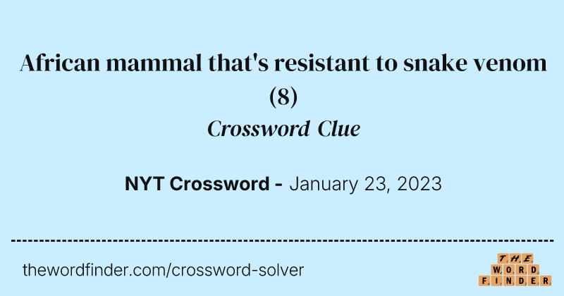 African mammal that's resistant to snake venom crossword clue image