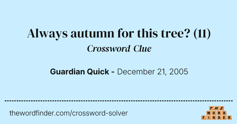 Always autumn for this tree? crossword clue image