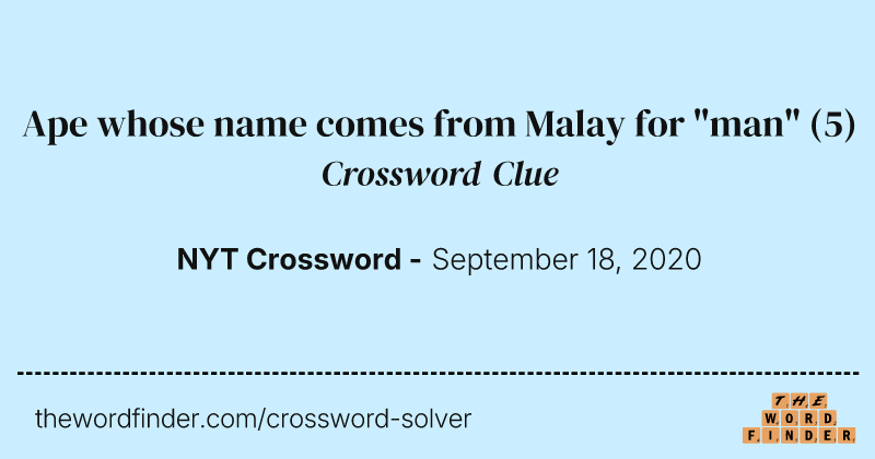 Ape whose name comes from Malay for "man" crossword clue image