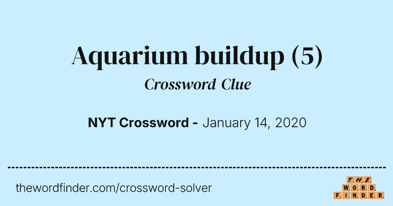 Aquarium buildup crossword clue image