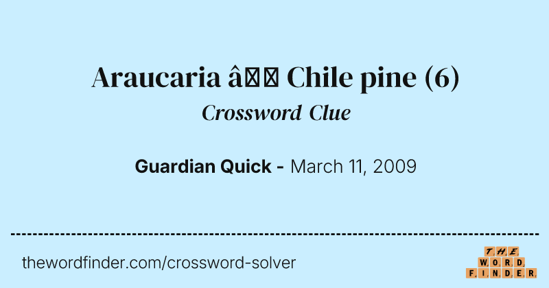 Araucaria — Chile pine crossword clue image