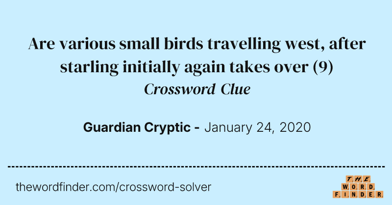 Are various small birds travelling west, after starling initially again takes over crossword clue image