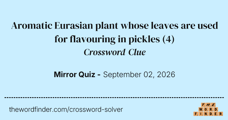Aromatic Eurasian plant whose leaves are used for flavouring in pickles crossword clue image
