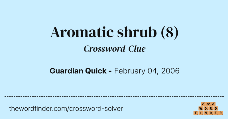 Aromatic shrub crossword clue image