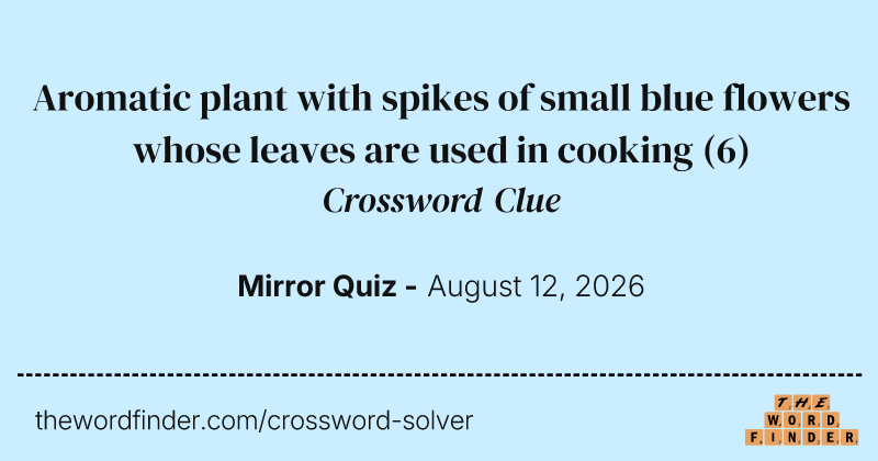 Aromatic plant with spikes of small blue flowers whose leaves are used in cooking crossword clue image