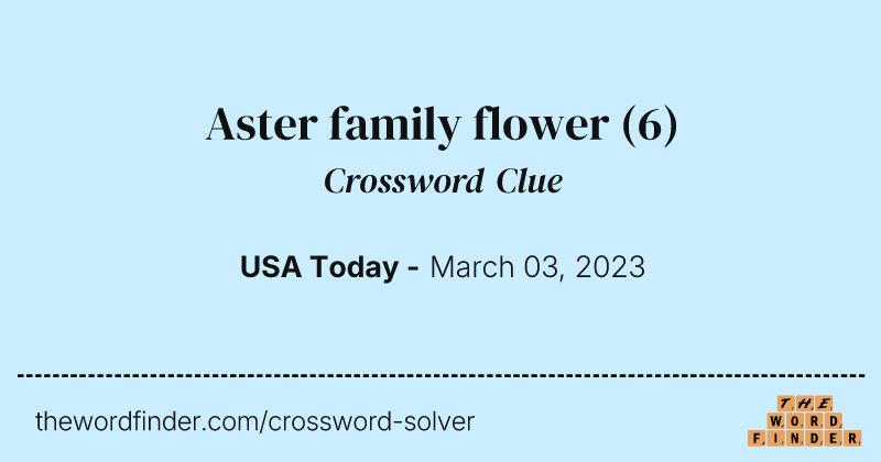 Aster family flower crossword clue image