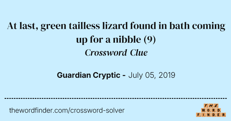 At last, green tailless lizard found in bath coming up for a nibble crossword clue image