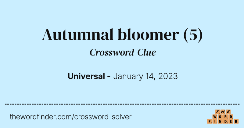 Autumnal bloomer crossword clue image