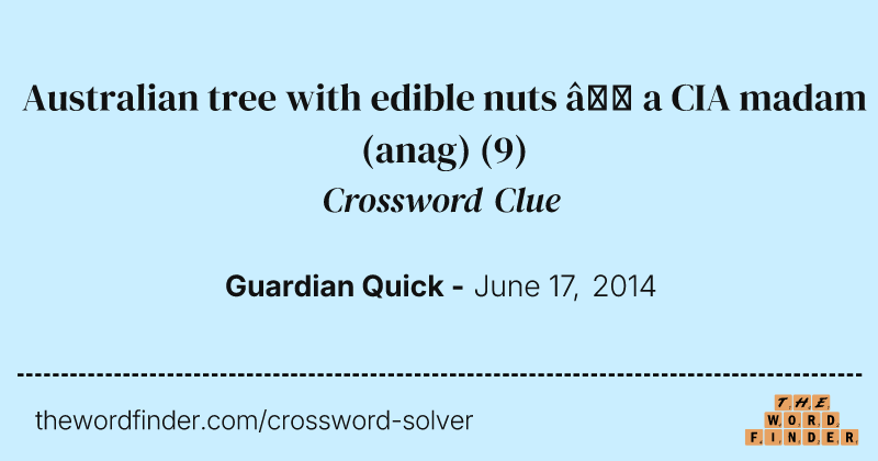 Australian tree with edible nuts — a CIA madam (anag) crossword clue image