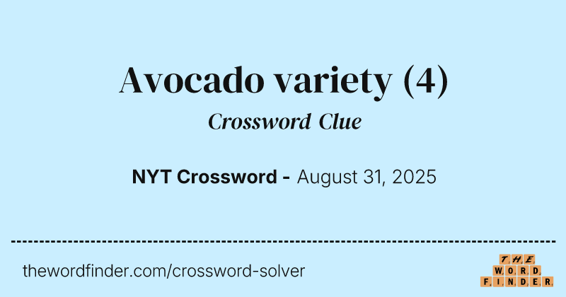 Avocado variety crossword clue image