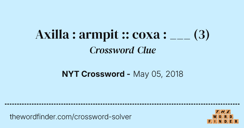 Axilla : armpit :: coxa : ___ crossword clue image