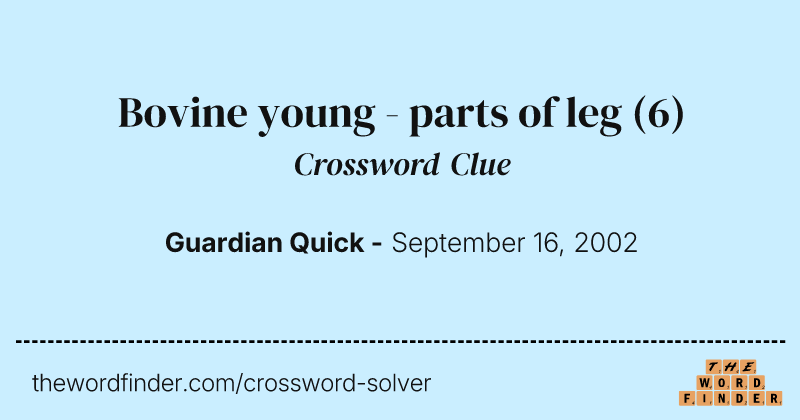 Bovine young - parts of leg crossword clue image