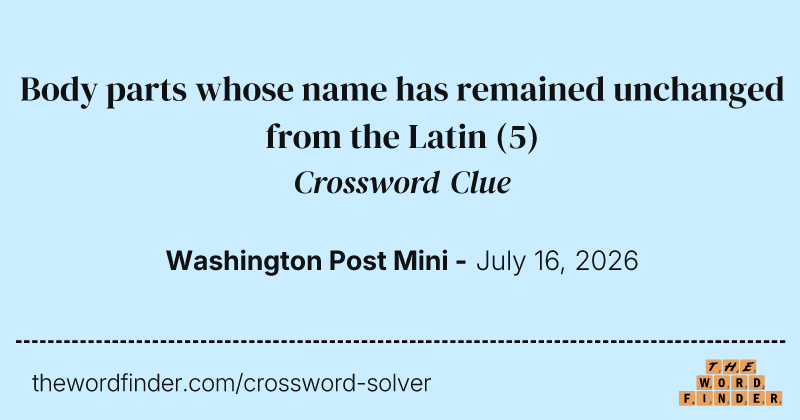 Body parts whose name has remained unchanged from the Latin crossword clue image