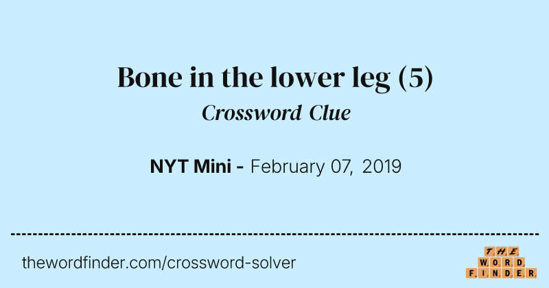 Bone in the lower leg crossword clue image