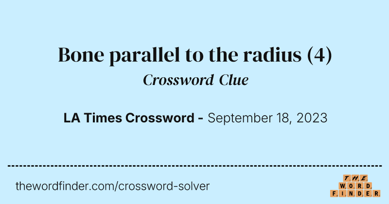Bone parallel to the radius crossword clue image