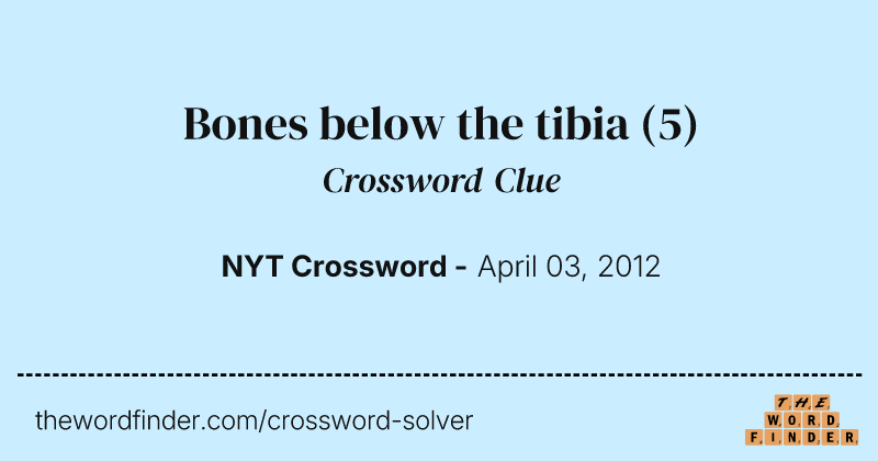 Bones below the tibia crossword clue image