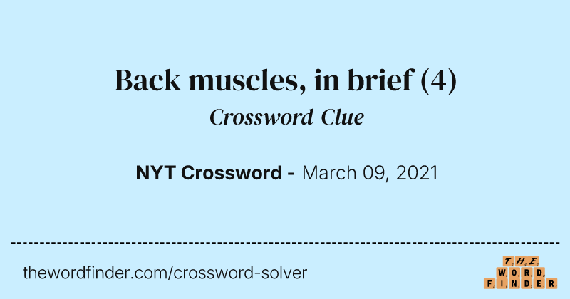 Back muscles, in brief crossword clue image