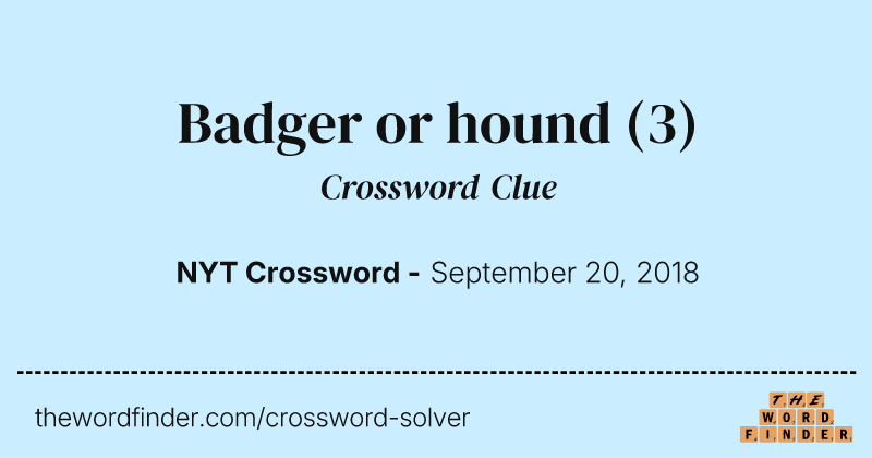 Badger or hound crossword clue image