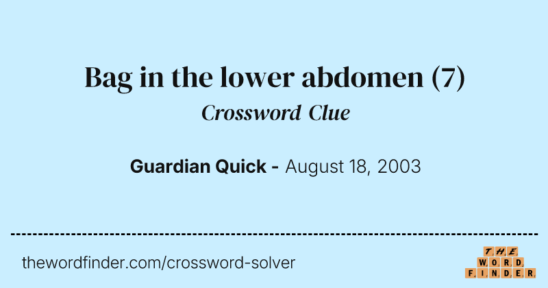 Bag in the lower abdomen crossword clue image