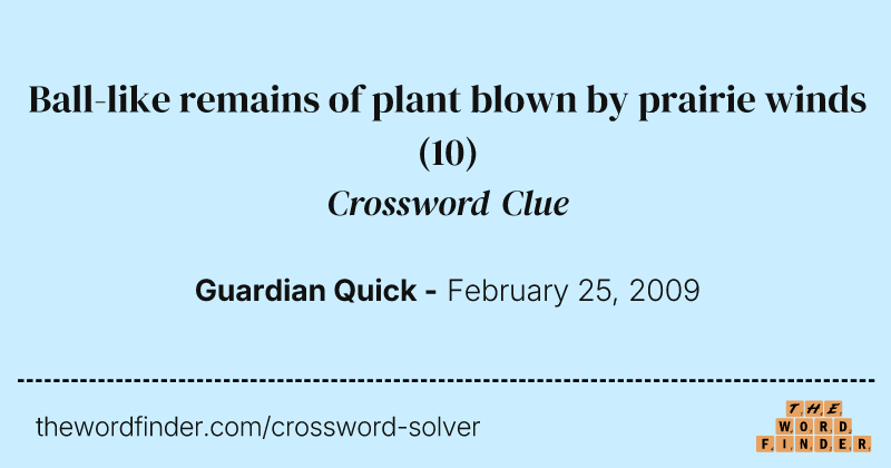 Ball-like remains of plant blown by prairie winds crossword clue image