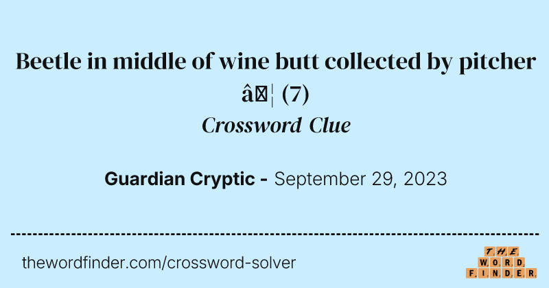 Beetle in middle of wine butt collected by pitcher … crossword clue image
