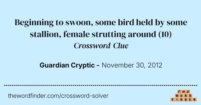 Beginning to swoon, some bird held by some stallion, female strutting around crossword clue image