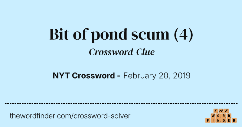 Bit of pond scum crossword clue image