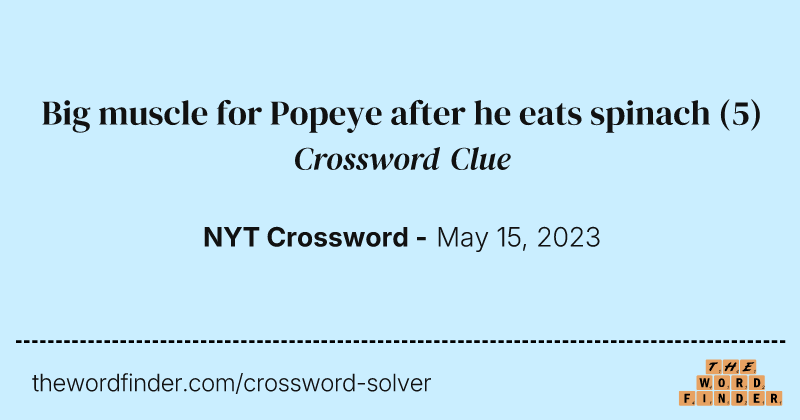 Big muscle for Popeye after he eats spinach crossword clue image