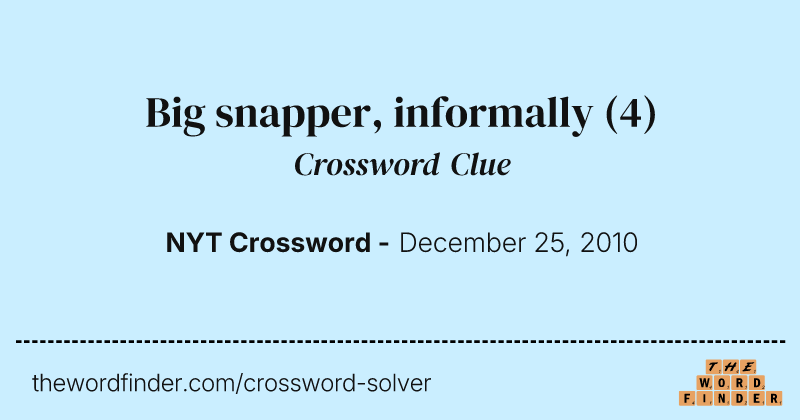 Big snapper, informally crossword clue image